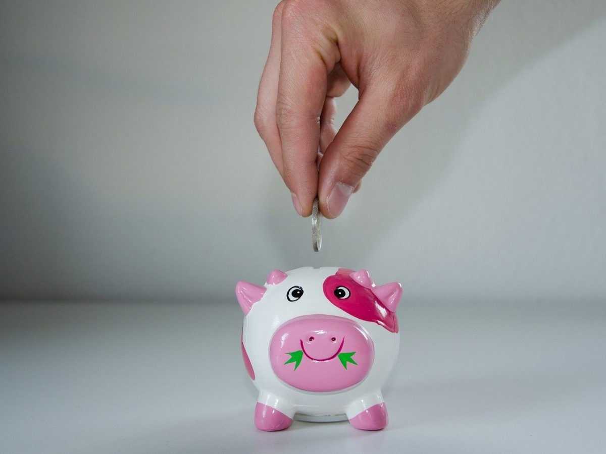 save, piggy bank, money